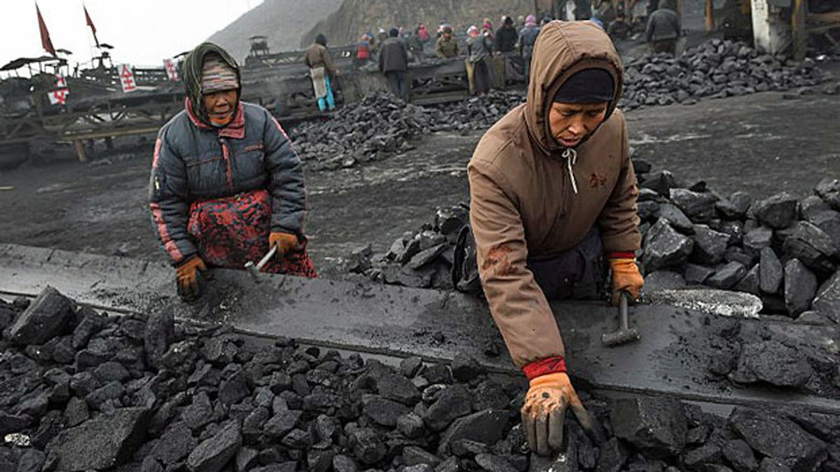 واردات زغال