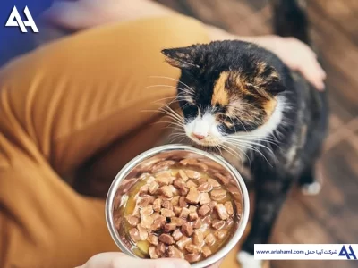 واردات غذای گربه از چین