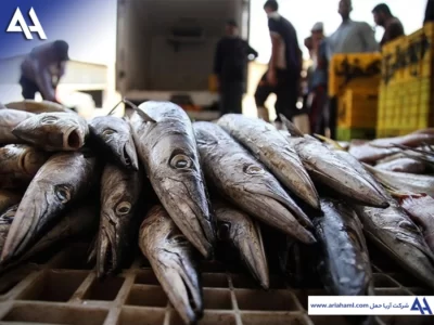 بازار ماهی چین