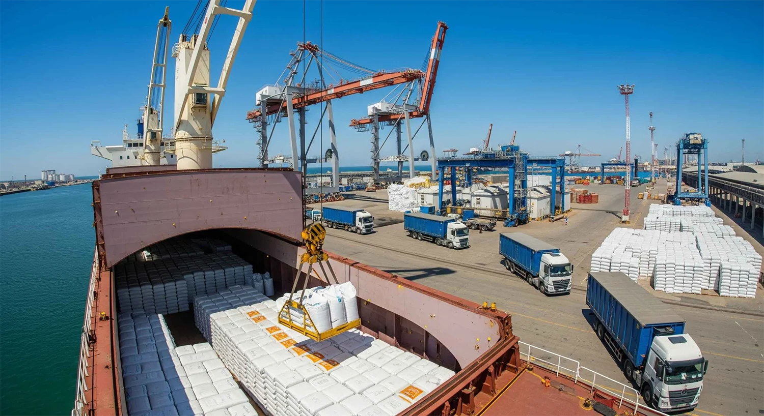 خوراک دام و طیور