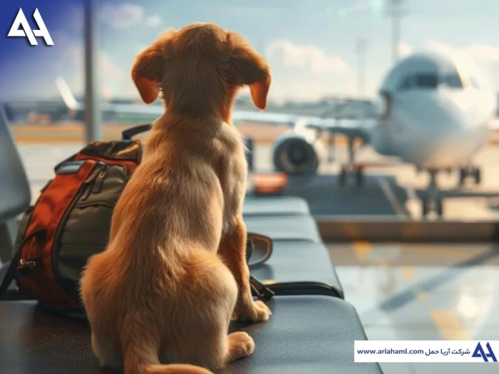 ارسال حیوانات خانگی به خارج از کشور